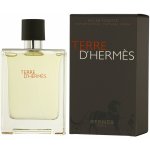 Hermès Terre D'Hermès toaletní voda pánská 100 ml – Sleviste.cz