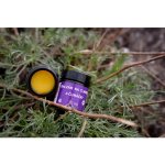 Ecopets balzám na tlapky a čenich s rakytníkem 30 ml – Hledejceny.cz