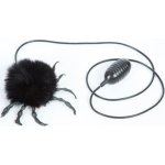 Pavouk skákací – Sleviste.cz