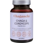 Chaganela Extrakt čagy s cordycepsem 150 kapslí – Hledejceny.cz