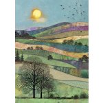 Přání K027 BUG ART – Zboží Mobilmania