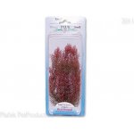 Tetra rostlina Red Foxtail Plus 23 cm – Hledejceny.cz