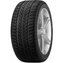 Rockstone Ecosnow 205/55 R16 94V