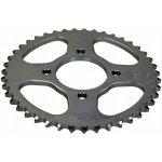 JT Sprockets JTR810-43 | Zboží Auto