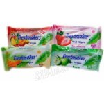 Freshmaker Ovoce kosmetické vlhčené ubrousky 15 ks – Hledejceny.cz
