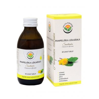 Salvia Paradise Pampeliška lékařská DS sirup 180 ml – Hledejceny.cz