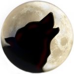 Samolepka (na auto, notebook) vlk (24) – Sleviste.cz