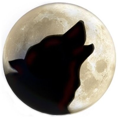 Samolepka (na auto, notebook) vlk (24) – Sleviste.cz