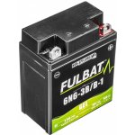 Fulbat 6N6-3B/B-1 GEL – Zbozi.Blesk.cz