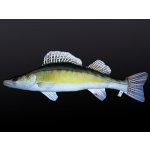 Gaby polštářek ryba Candát obecný 77 cm – Zboží Dáma