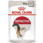 Royal Canin Instinctive gravy 12 x 85 g – Hledejceny.cz