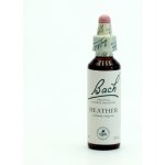 Bachovy květové esence Vřes obecný Heather 20 ml – Hledejceny.cz