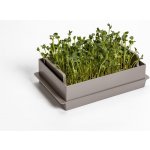 Plastia Microgreens Economy taupe 21x13,1cm – Zboží Mobilmania