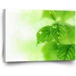 Sablio Obraz Listy 3 - 90x60 cm – Hledejceny.cz