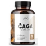 Sibi Čaga extrakt 500 mg 90 kapslí – Hledejceny.cz