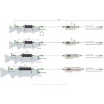 Madcat Sumcový návazec Adjusta Basic River Rig LIVEBAIT 160 cm 1 mm 2/0 + 8 40 g – Zbozi.Blesk.cz
