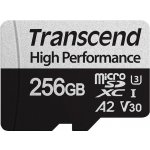 Transcend microSDXC UHS-I U3 256 GB TS256GUSD330S – Hledejceny.cz