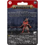 GW Warhammer Age of Sigmar Bloodmaster Herald of Khorne – Sleviste.cz