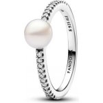 Pandora 193158C01 – Zboží Dáma