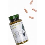 Nu Skin Pharmanex Tegreen 120 kapslí – Hledejceny.cz