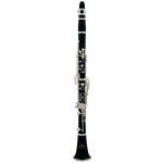 Recenze Roy Benson CB 417 Bb klarinet
