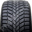 Osobní pneumatika Delinte WD6 215/55 R17 98H