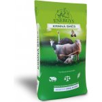 Energys Vojtěškové úsušky 25 kg – Zboží Dáma