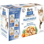 Brit Care Cat Fillets in Jelly Flavour box 12 x 85 g – Hledejceny.cz