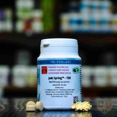 Maciocia Nefritový pramen T08 60 tablet – Hledejceny.cz