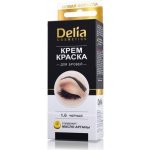 Delia Cosmetics Cameleo krémová profesionální barva na obočí 1.0 Black 15 ml – Zboží Dáma