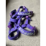 Obojky Andy Postroj – Zboží Dáma