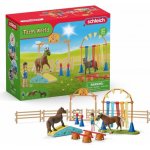 Schleich 42481 Trénink agility pro poníky – Hledejceny.cz