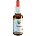 Salvia Paradise Chuchuasi tinktura 30 ml – Hledejceny.cz