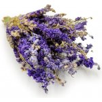 mech-mech.cz Sušená Ostrožka - (Delphinium) - modrá – Sleviste.cz
