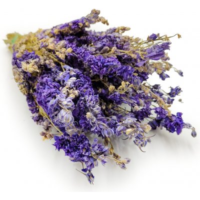 mech-mech.cz Sušená Ostrožka - (Delphinium) - modrá – Sleviste.cz