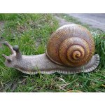 Prodex Import Šnek velký figura do zahrady – Zboží Dáma