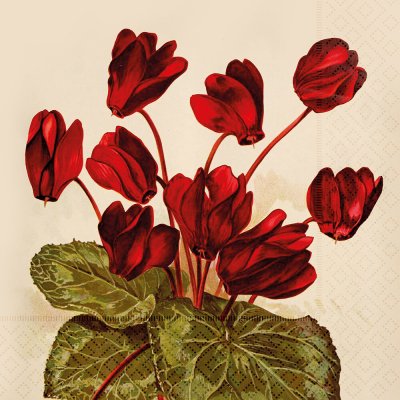 Skona Ting Papírový ubrousek Orange Autumn Plants Cyclamen – Hledejceny.cz
