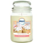 Airpure Vanilla Cupcake 510 g – Hledejceny.cz