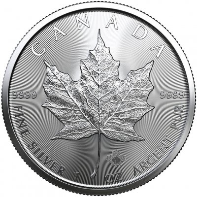 Royal Canadian Mint The stříbrná mince Silver Maple Leaf 2022 1 oz – Zboží Mobilmania