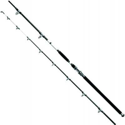 Delphin SNOW Catfish 2,85 m 500 g 2 díly – Hledejceny.cz