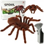 CUTE S.TOY No.787 Pavouk velký – Zboží Mobilmania