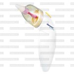 Cleanoz nosní odsávačka nosní Nuvita – Zboží Dáma