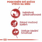 Royal Canin Instinctive Loaf 12 x 85 g – Hledejceny.cz