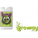 Advanced Nutrients Big Bud Liquid 1l – Zboží Dáma