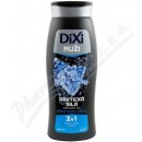 Dixi Men Arktická síla sprchový gel 3v1 400 ml