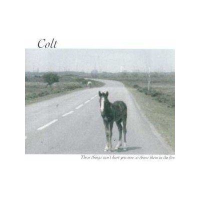 Colt - These Things Can't Hurt You Now So Throw Them In The Fire CD – Zbozi.Blesk.cz