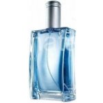 Avon Individual Blue toaletní voda pánská 100 ml – Hledejceny.cz