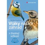 Vtáky našich záhrad | Straußová Daniela – Hledejceny.cz