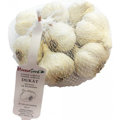 AgroBio Sadbový česnek Dukát 8 ks – Zboží Dáma AgroBio Sadbový česnek Dukát 8 ks – Zboží Dáma