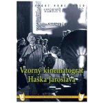 Lipský Oldřich: Vzorný kinematograf Haška Jaroslava DVD – Hledejceny.cz